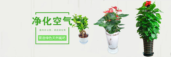 微信图片_20221024125144.jpg